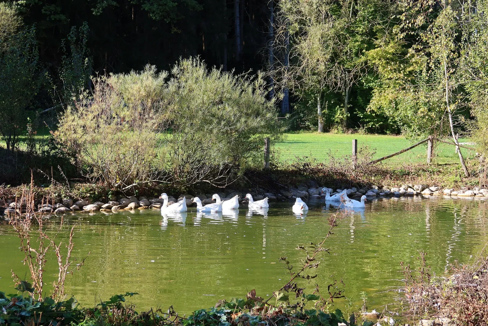 Bergtierpark Blindham