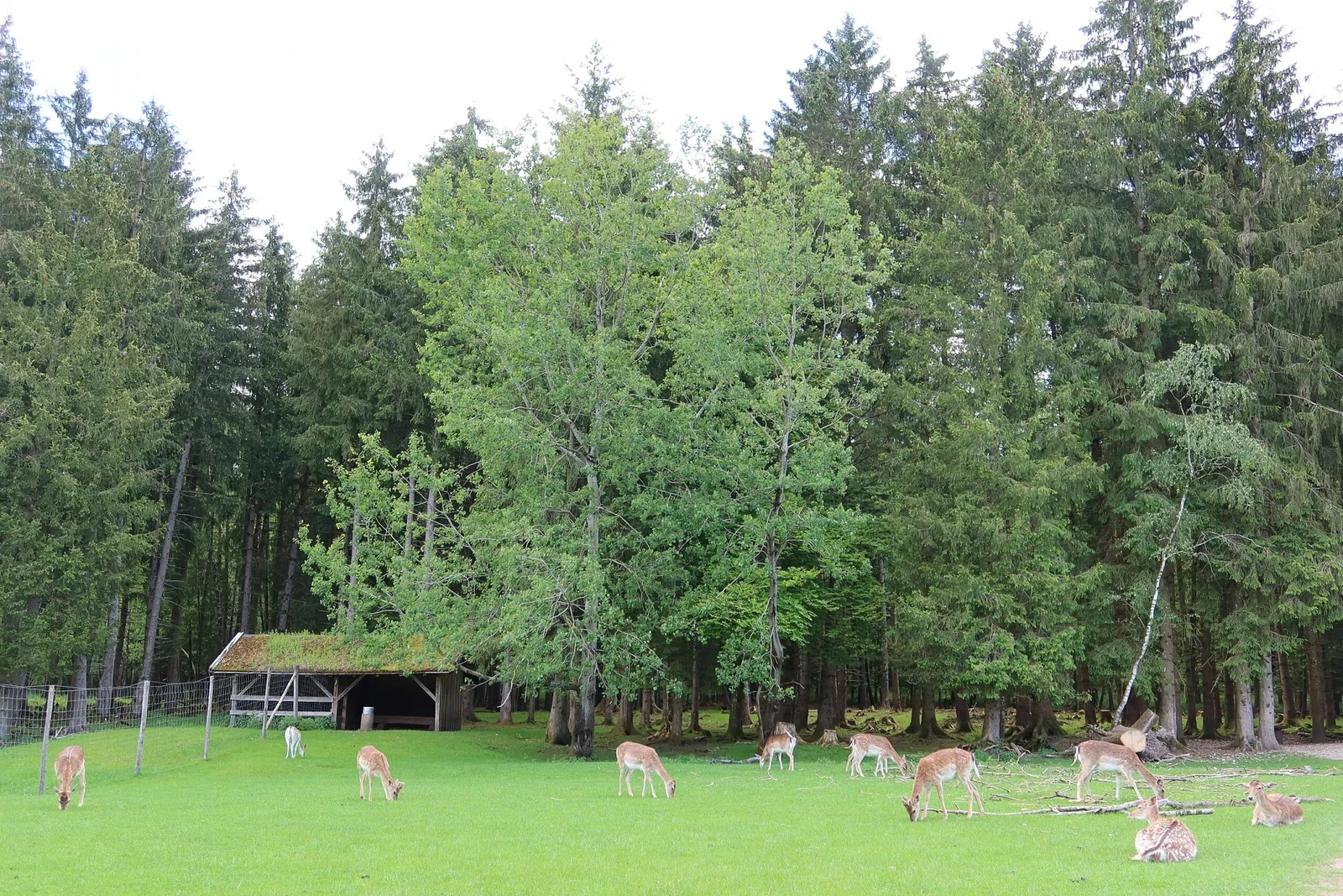 Bergtierpark Blindham
