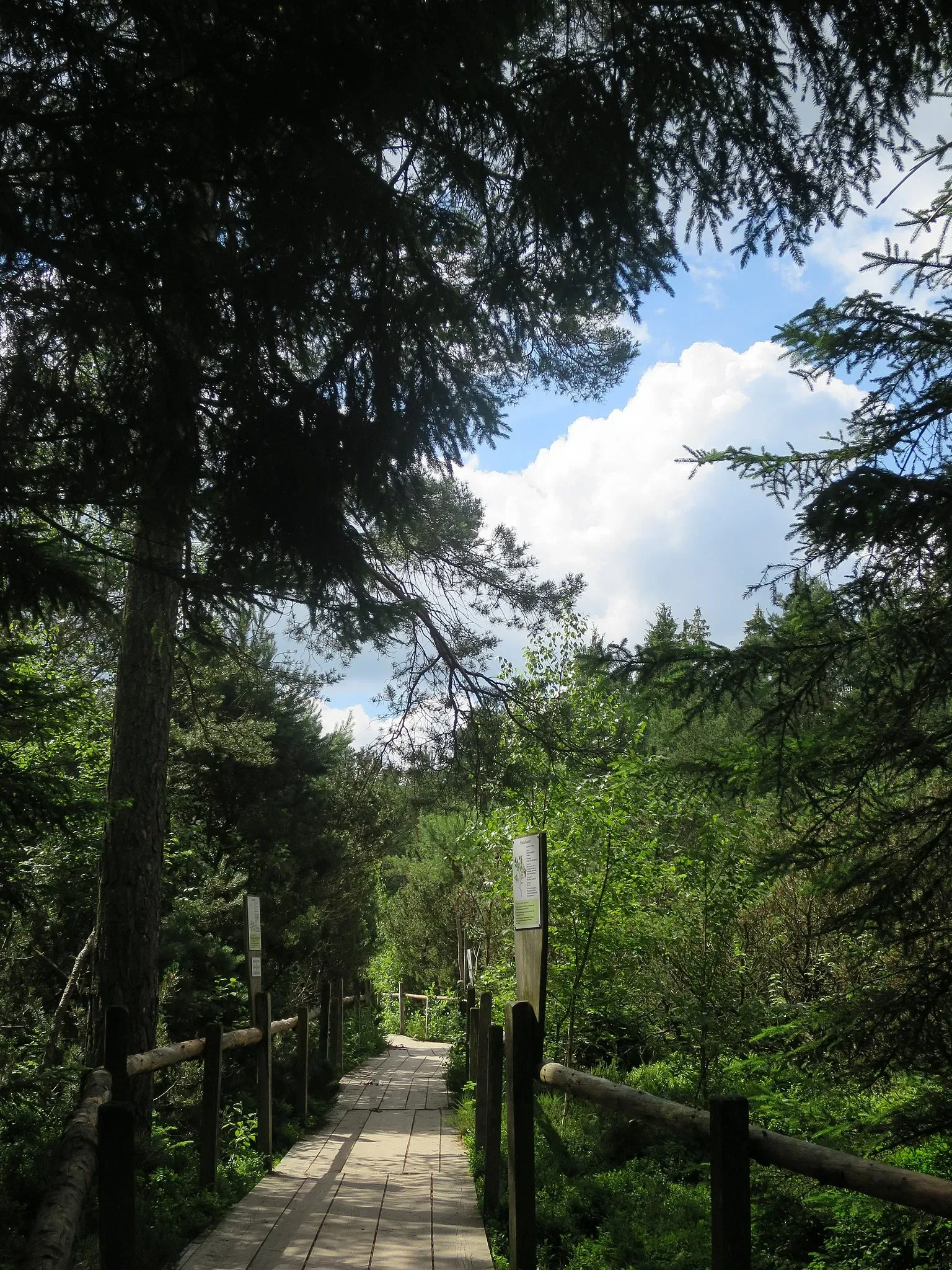 Bergtierpark Blindham
