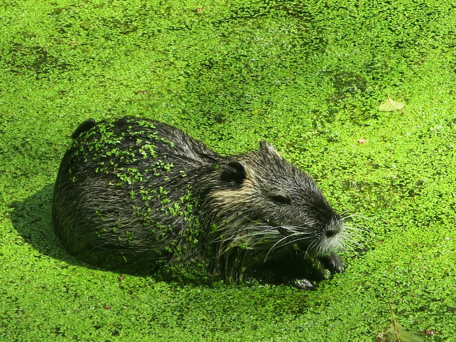 Bergtierpark Blindham
