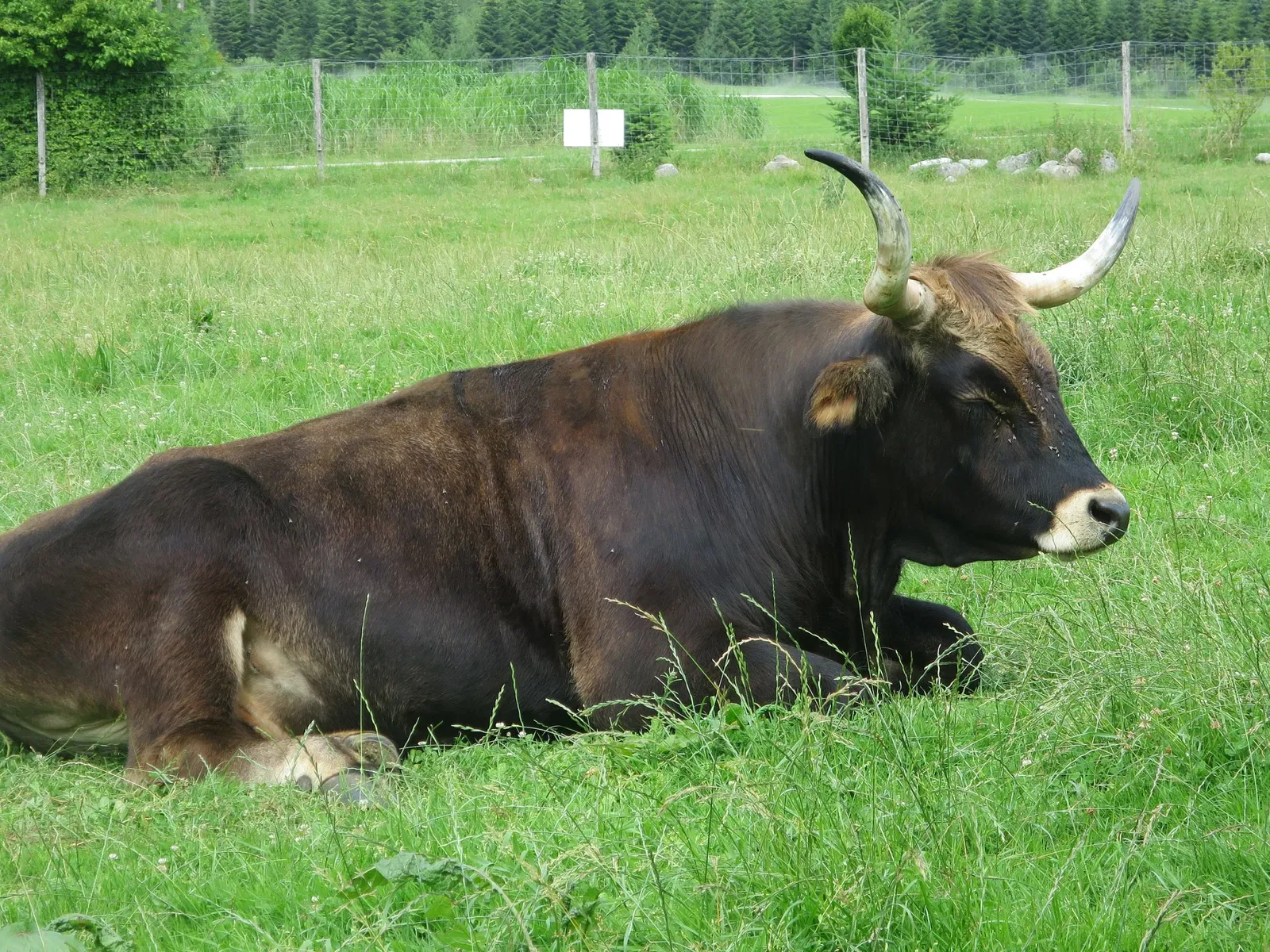 Bergtierpark Blindham