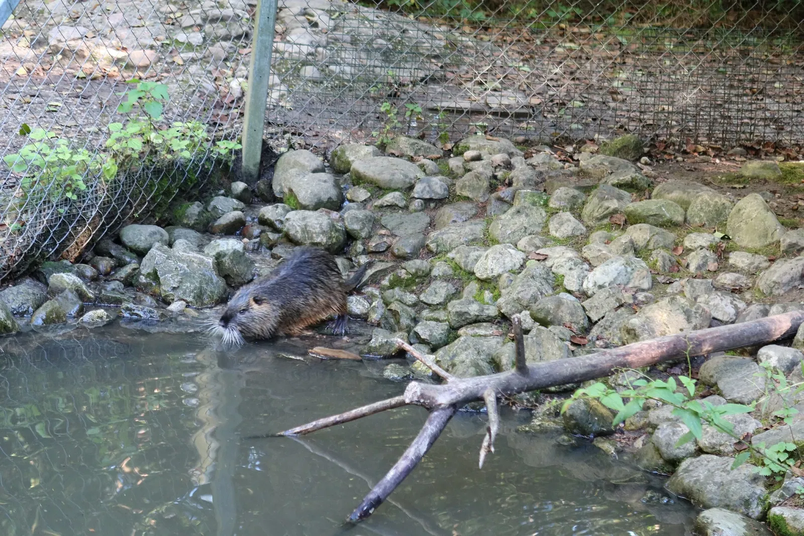 Bergtierpark Blindham