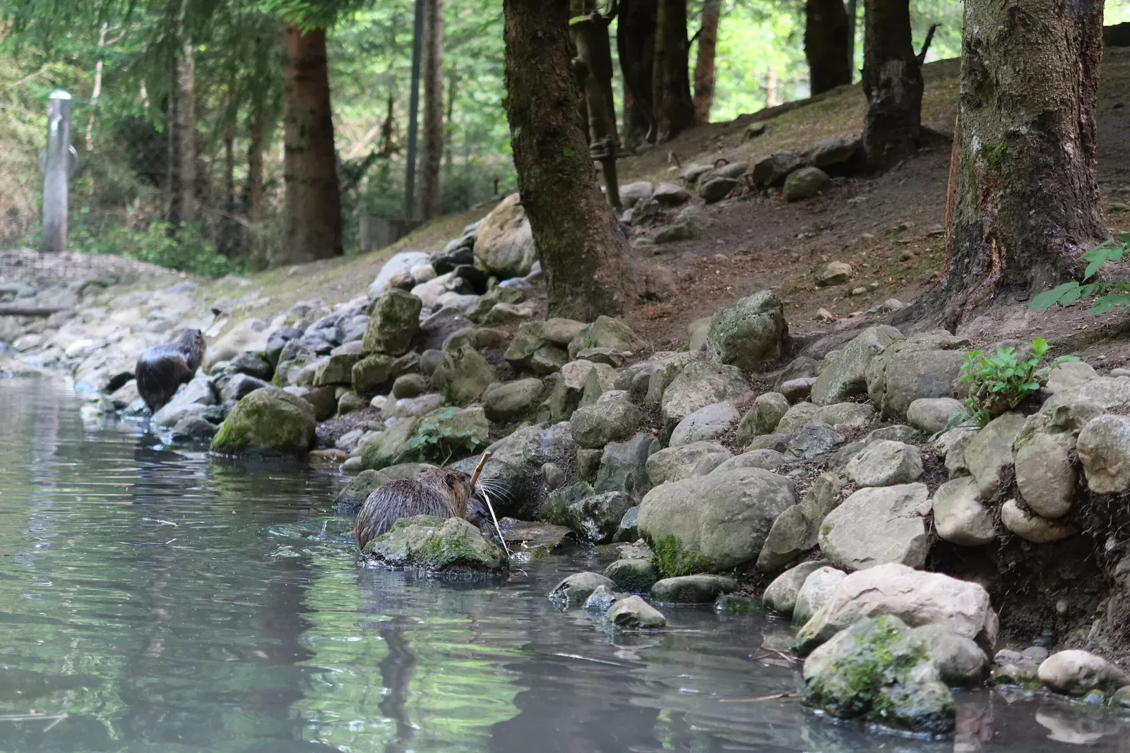 Bergtierpark Blindham
