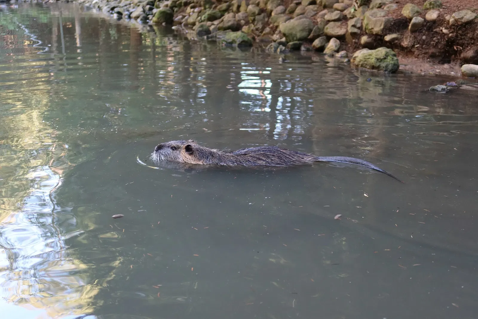 Bergtierpark Blindham