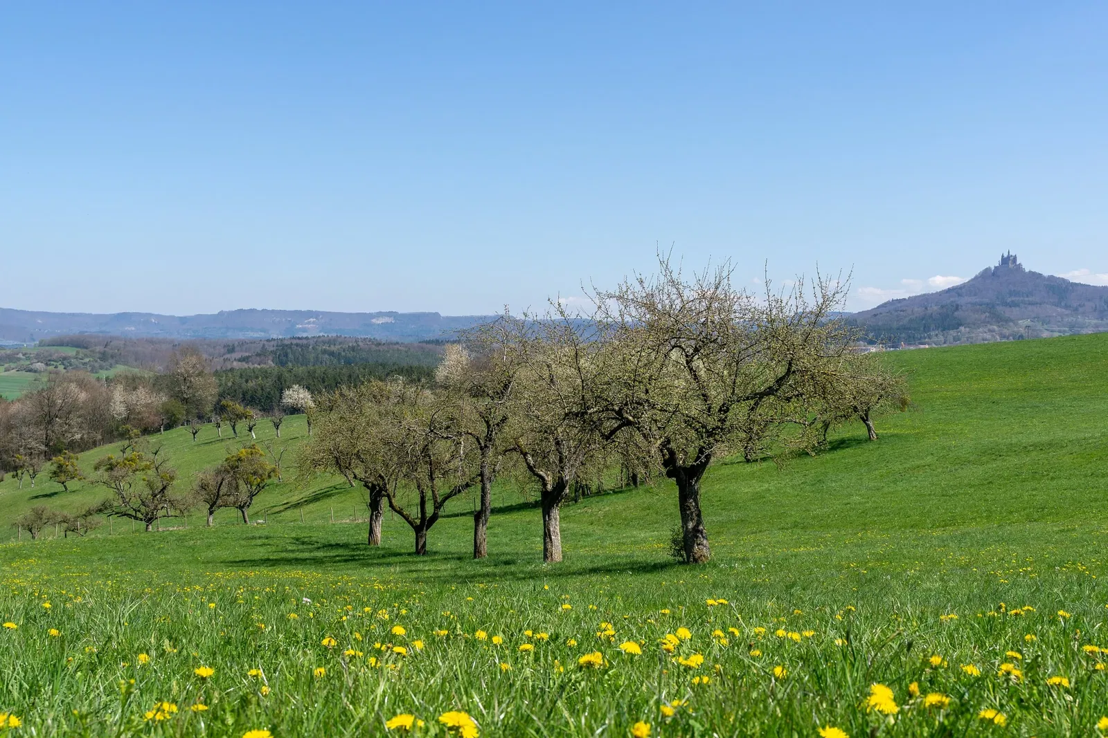 Castello di Hohenzollern