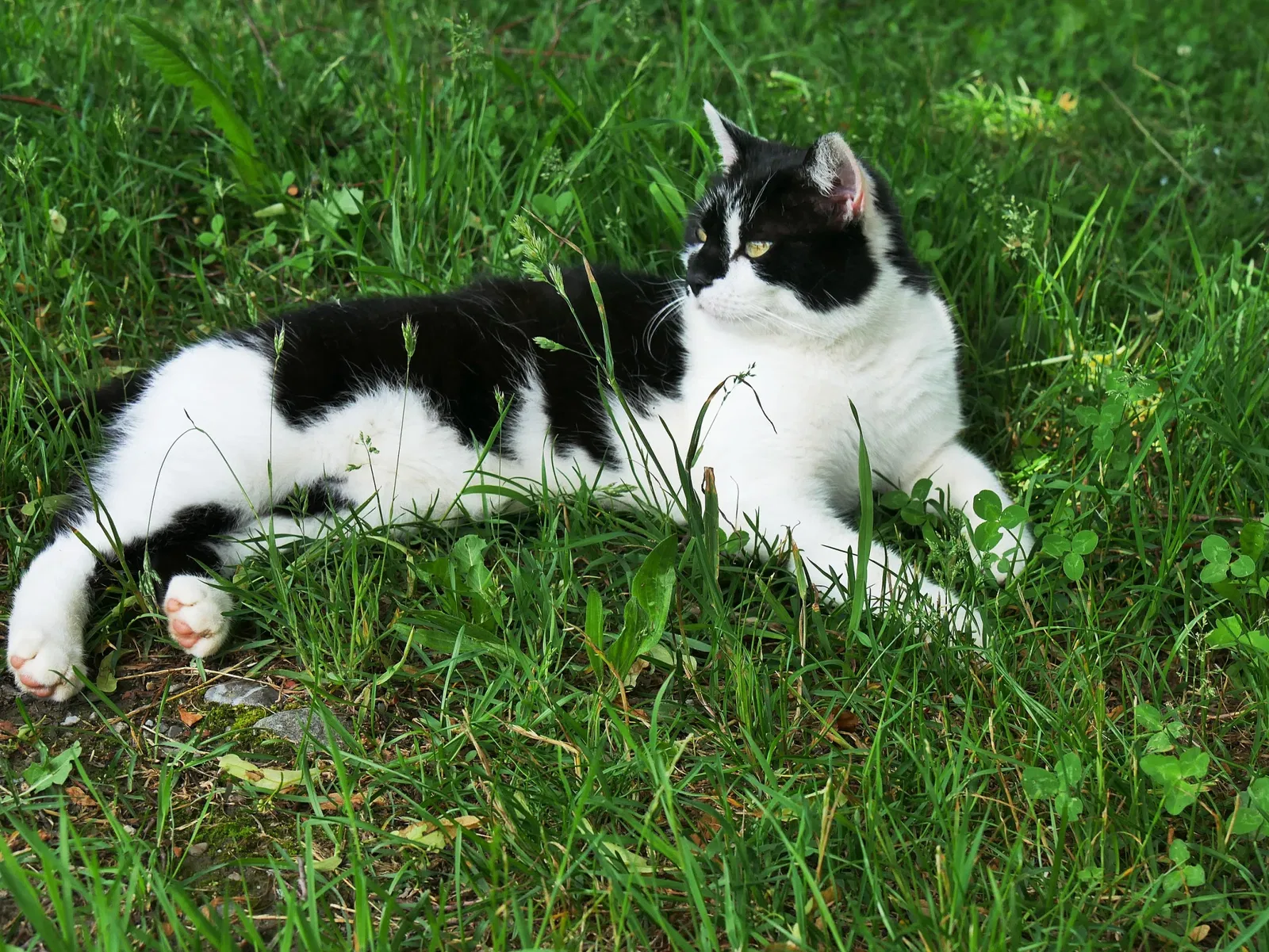 Bauernhaus-Museum Allgäu-Oberschwaben Wolfegg