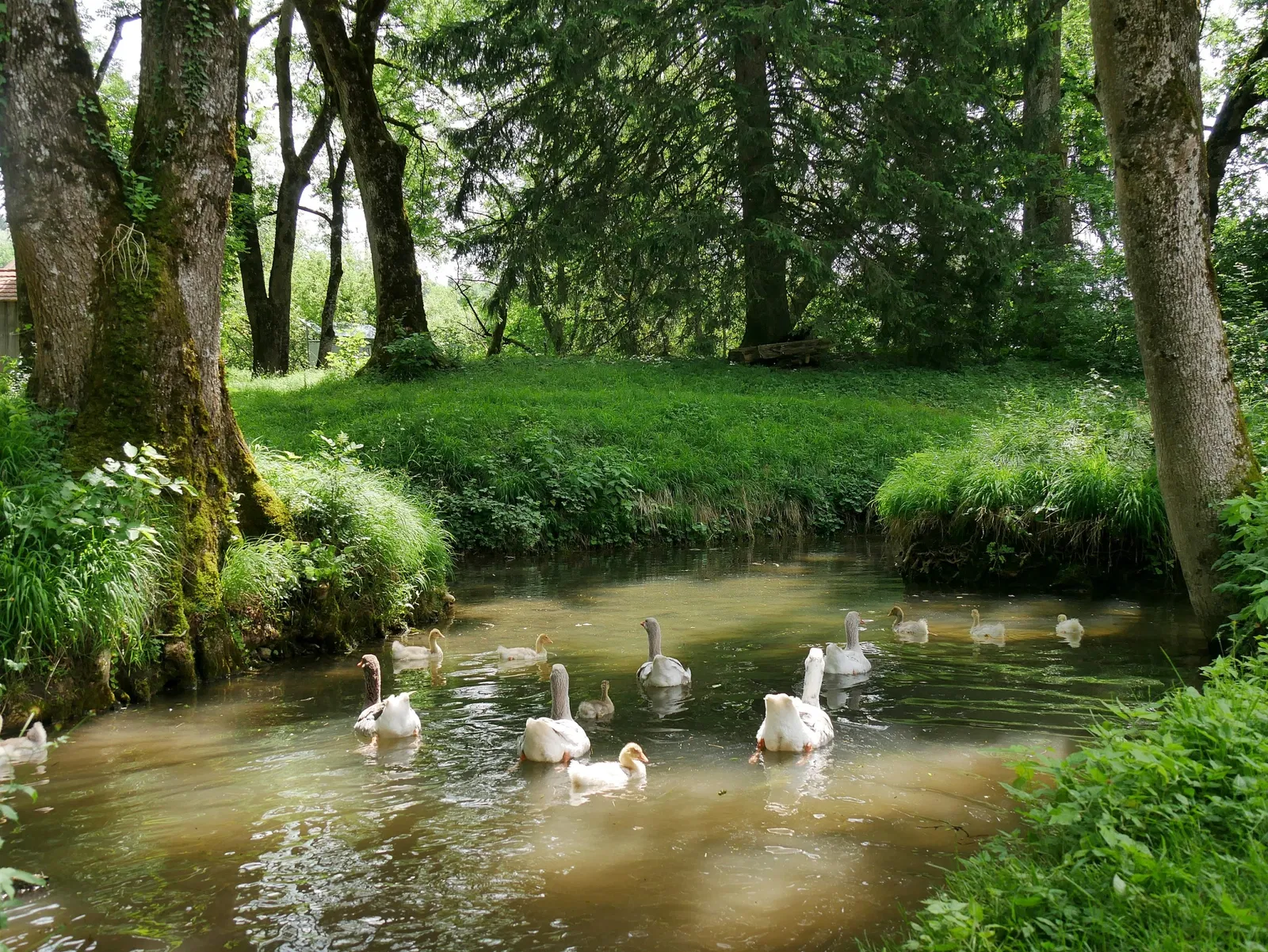 Bauernhaus-Museum Allgäu-Oberschwaben Wolfegg