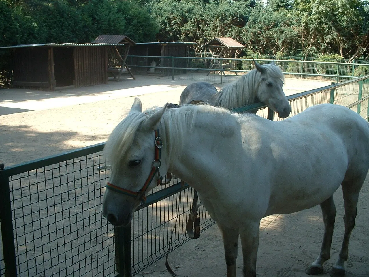 Oderbruchzoo Altreetz
