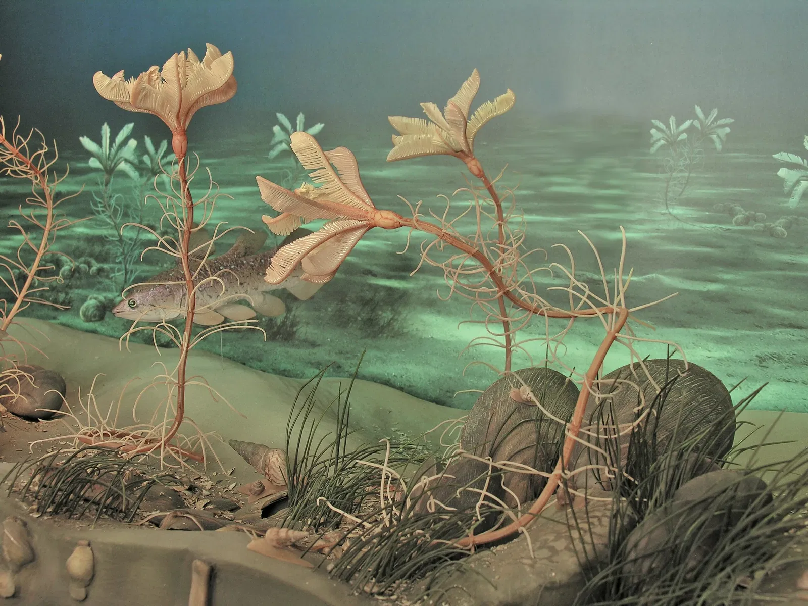 Museum Terra Triassica Euerdorf