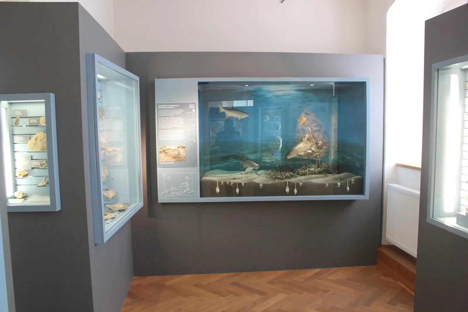 Museum Terra Triassica Euerdorf