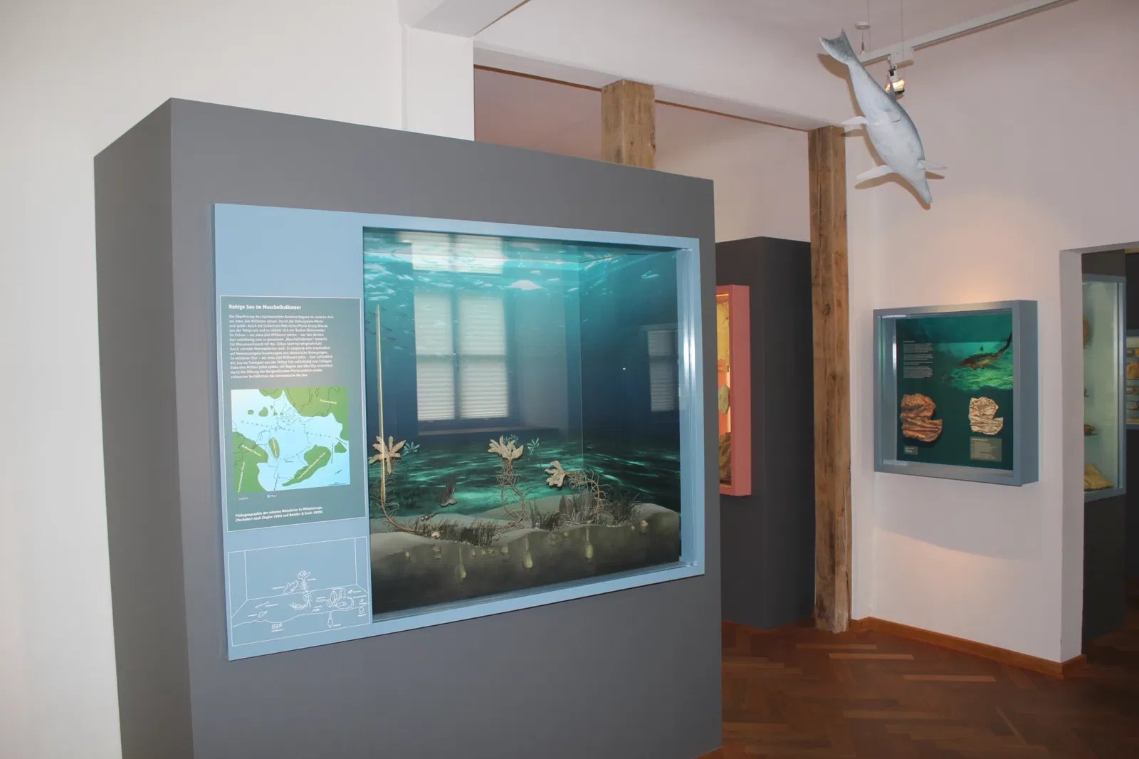 Museum Terra Triassica Euerdorf