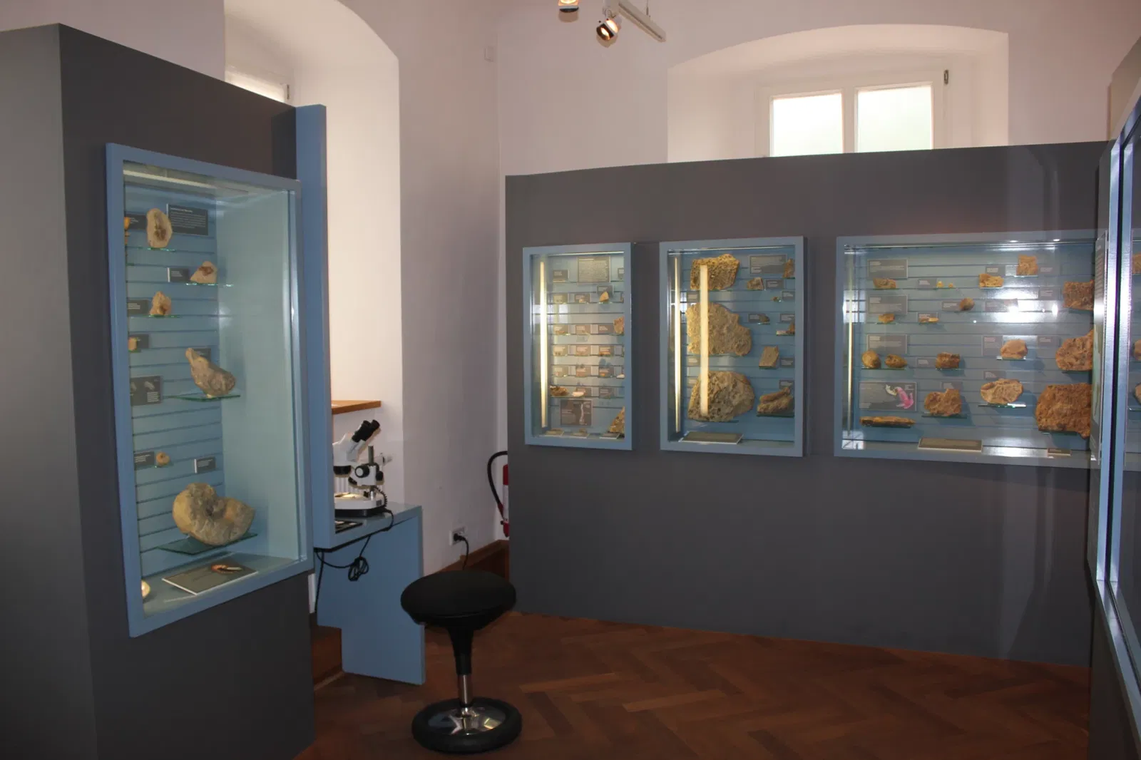 Museum Terra Triassica Euerdorf