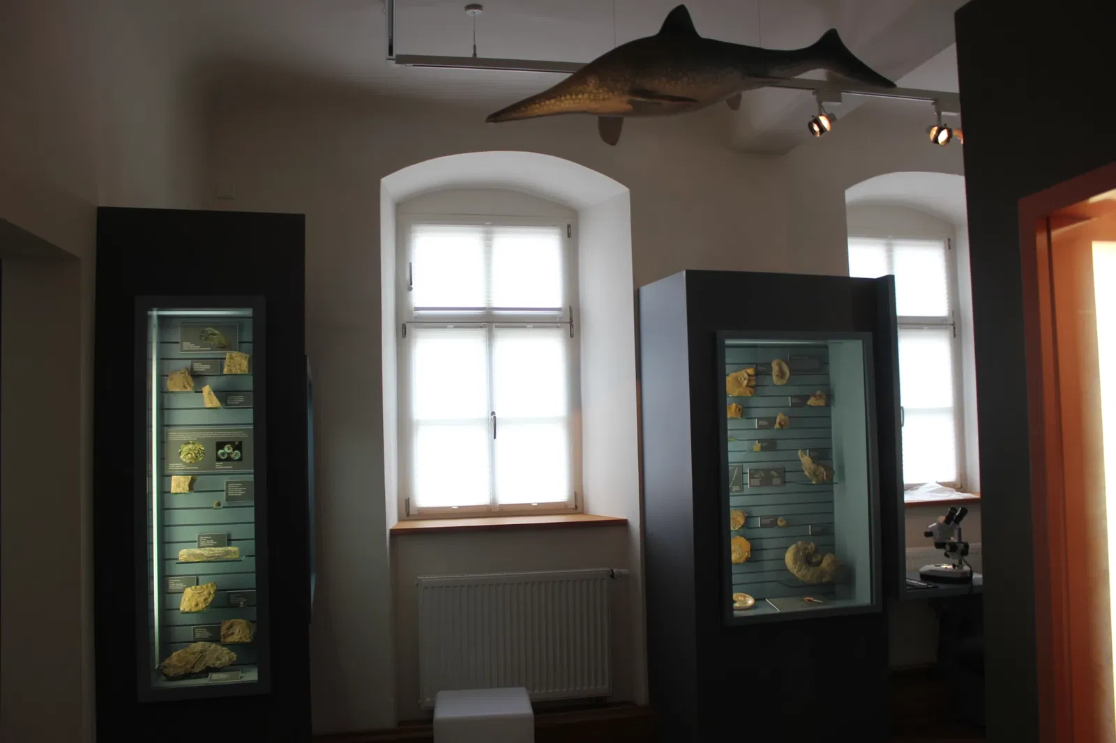 Museum Terra Triassica Euerdorf