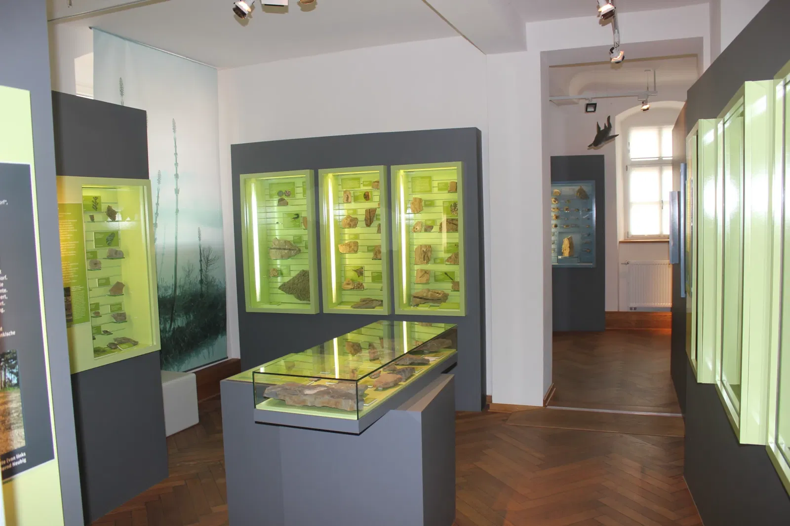 Museum Terra Triassica Euerdorf