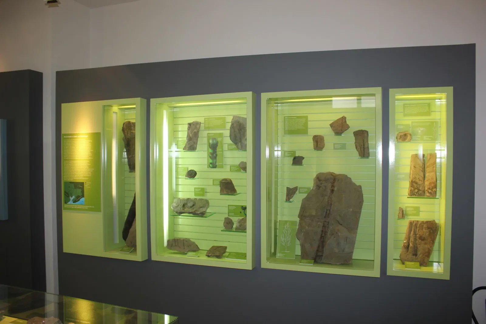 Museum Terra Triassica Euerdorf