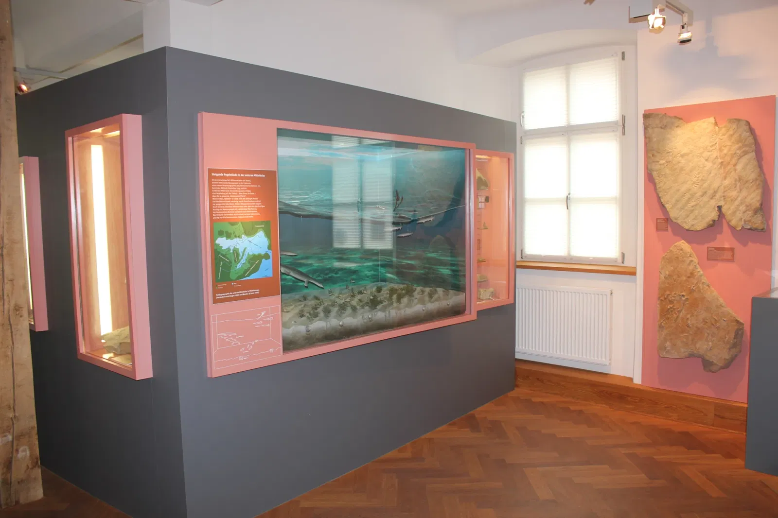 Museum Terra Triassica Euerdorf