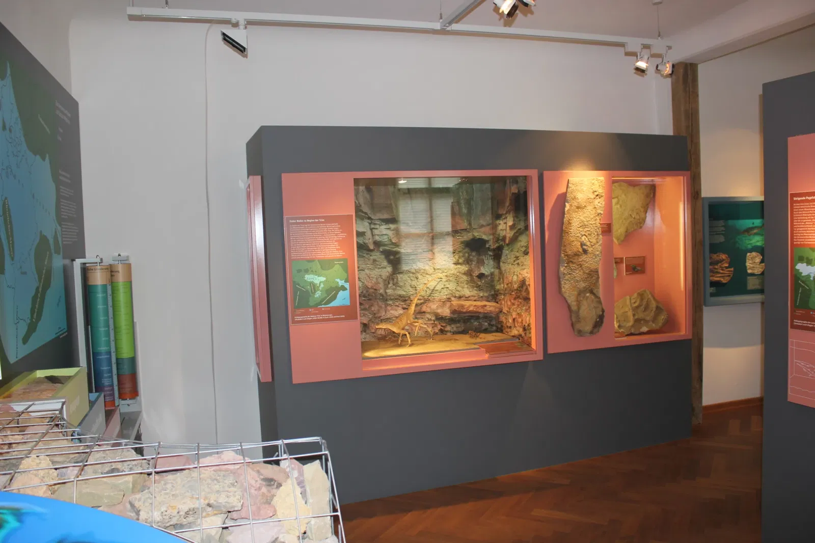 Museum Terra Triassica Euerdorf