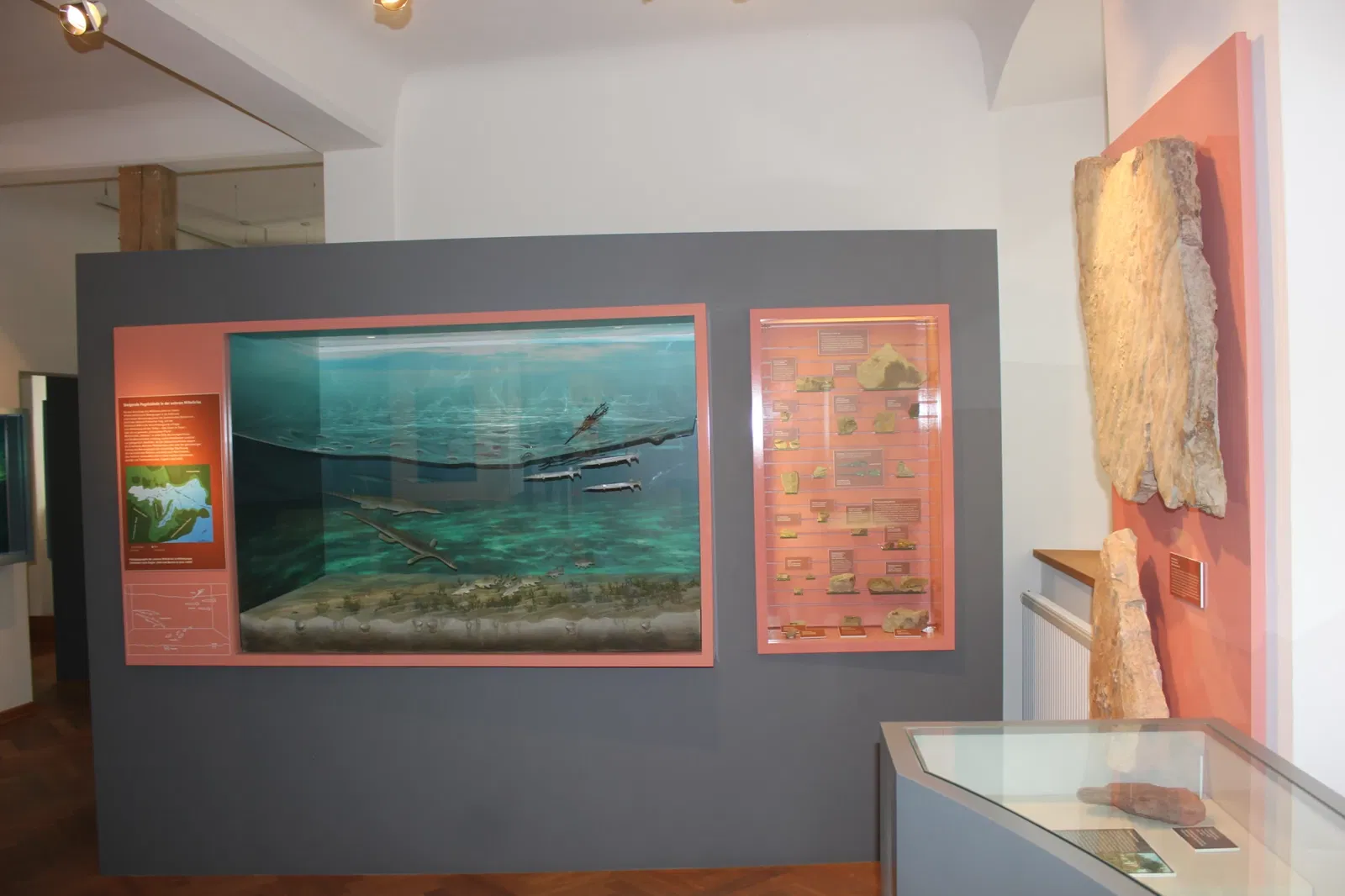 Museum Terra Triassica Euerdorf