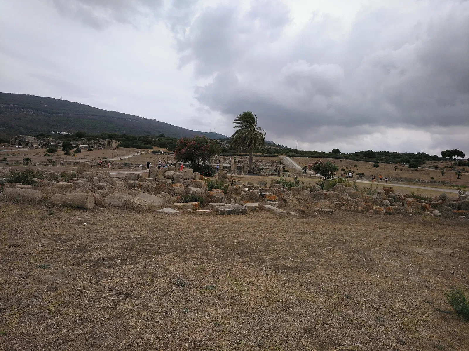 Conjunto Arqueológico de Baelo Claudia