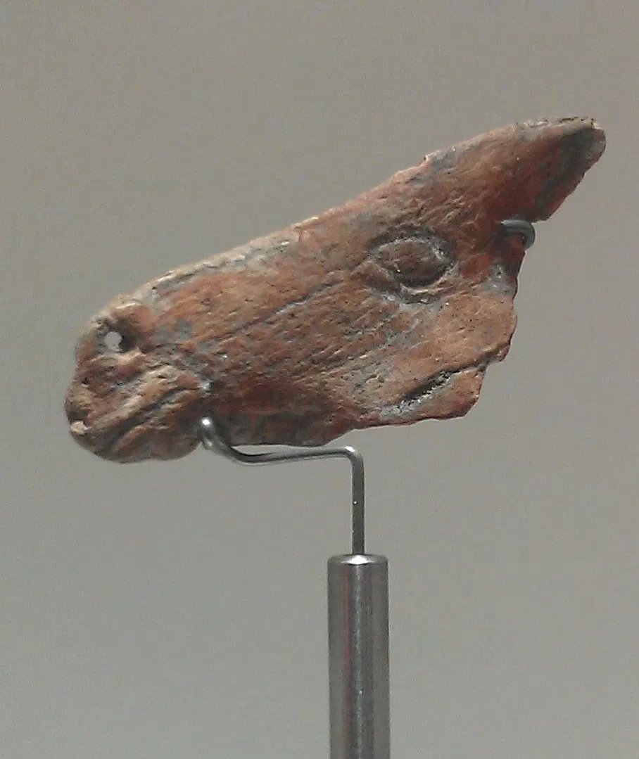 Prehistoric Park Teverga