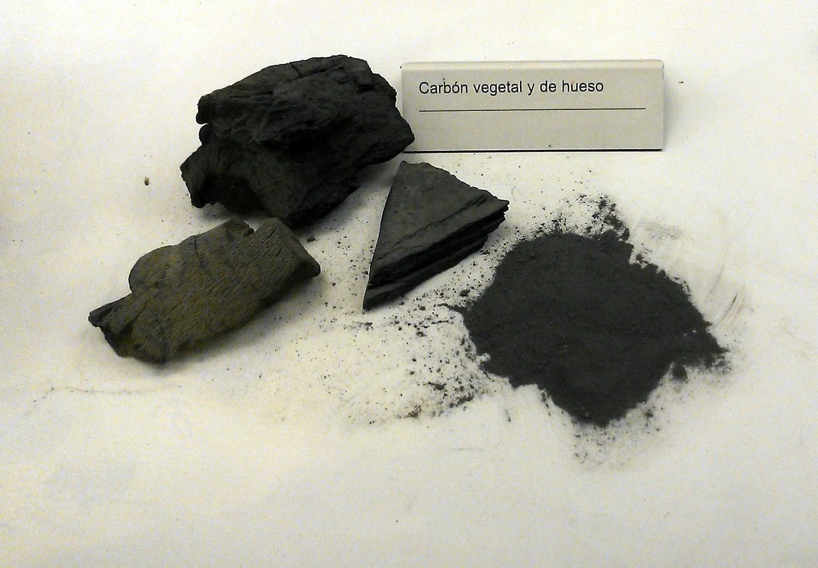 Prehistoric Park Teverga