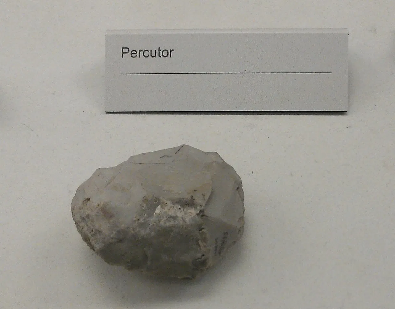 Prehistoric Park Teverga