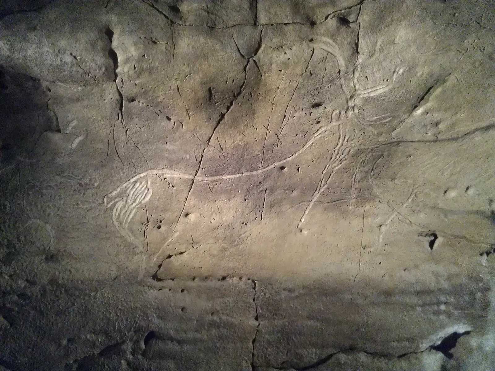 Prehistoric Park Teverga