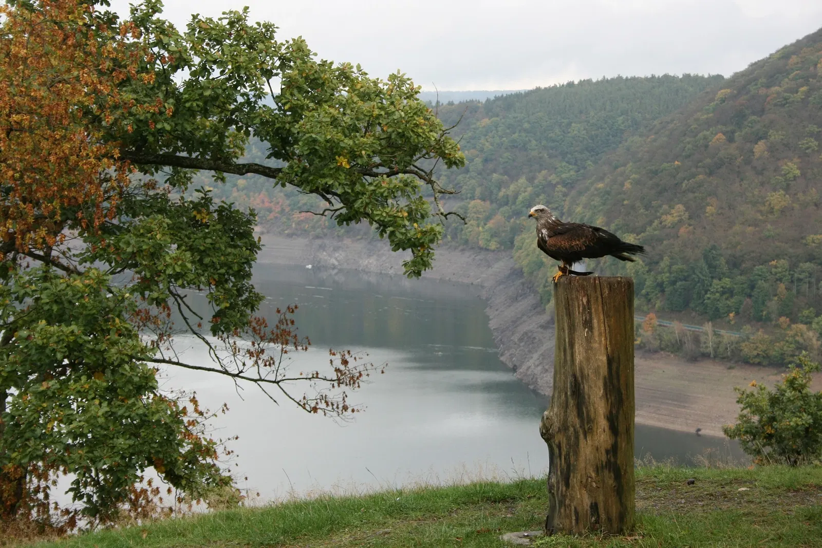 WildtierPark Edersee