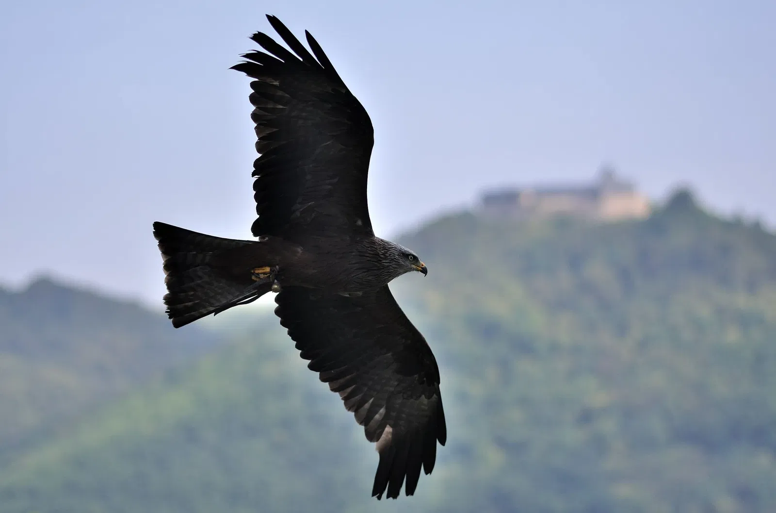 WildtierPark Edersee