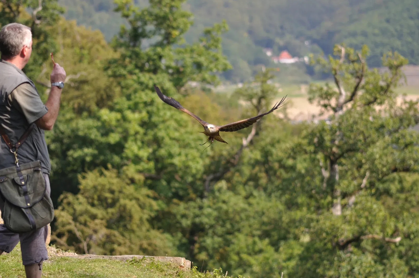 WildtierPark Edersee