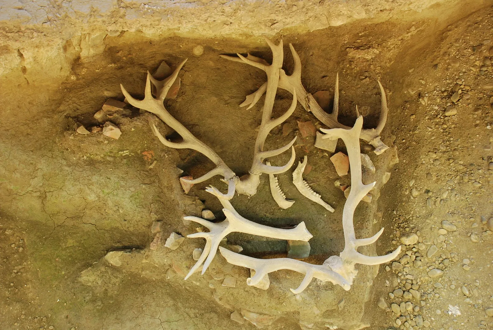 Roman Villa La Olmeda