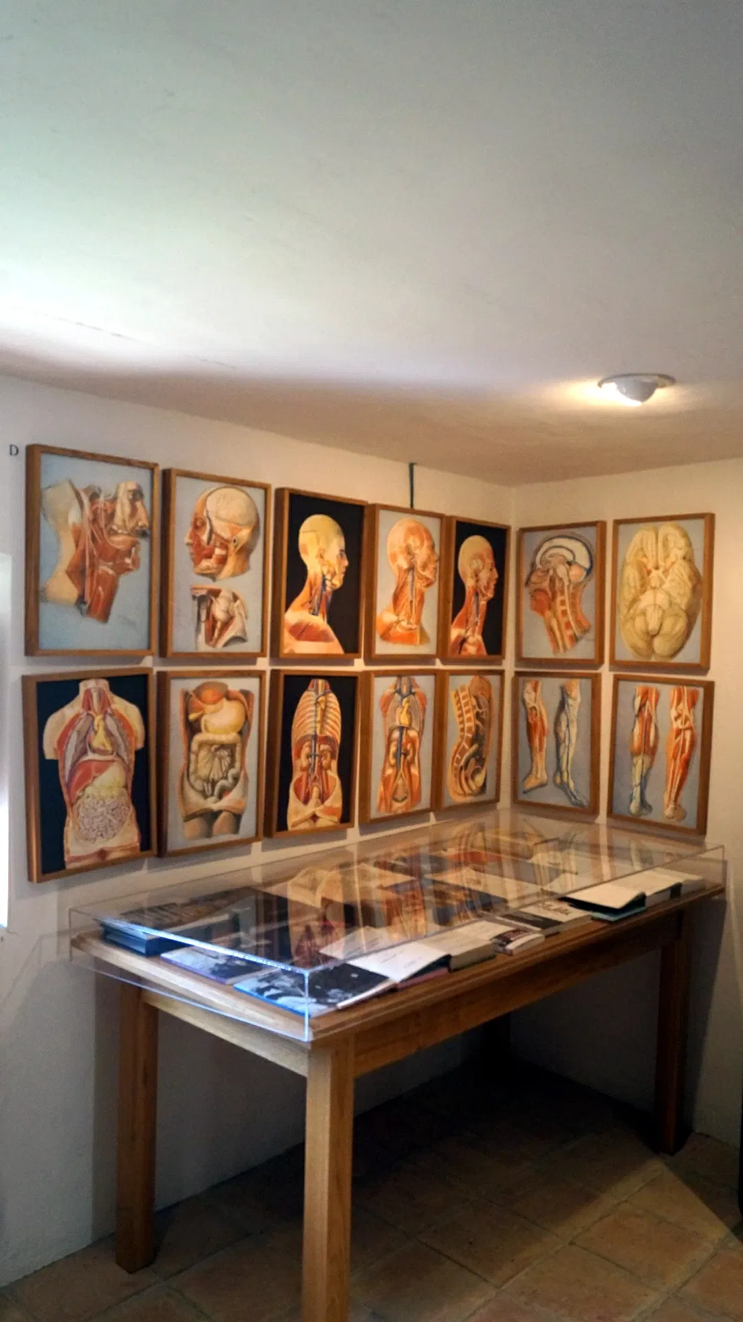 Casa Natal de Ramón y Cajal