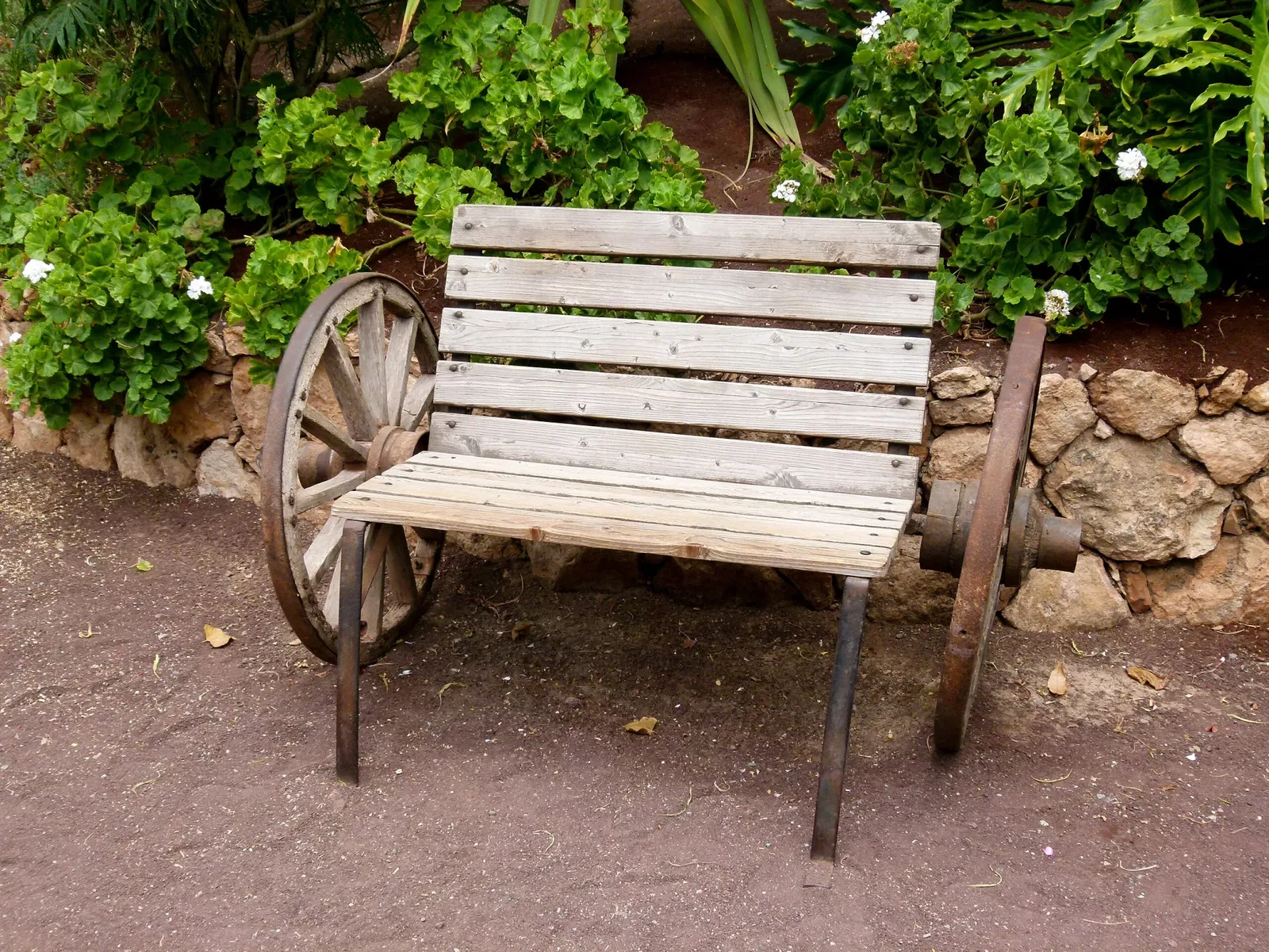 Oasis Wildlife Fuerteventura