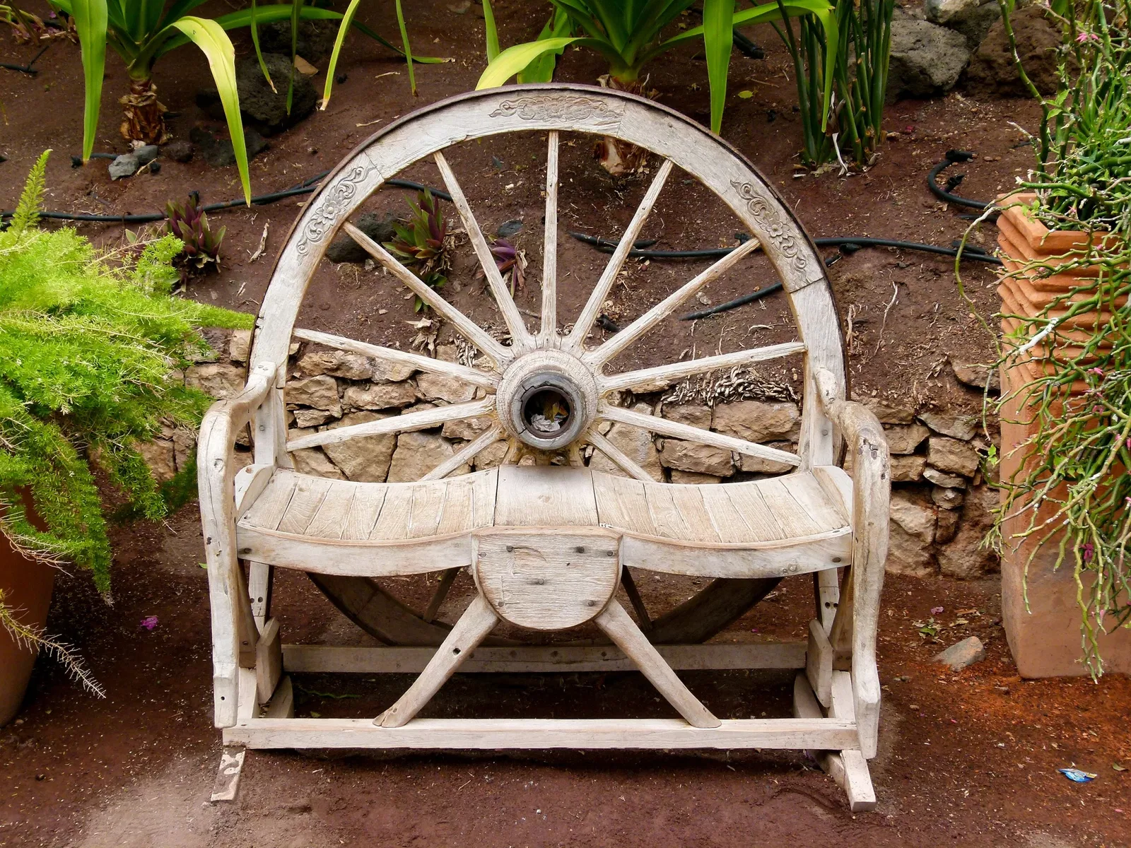 Oasis Wildlife Fuerteventura