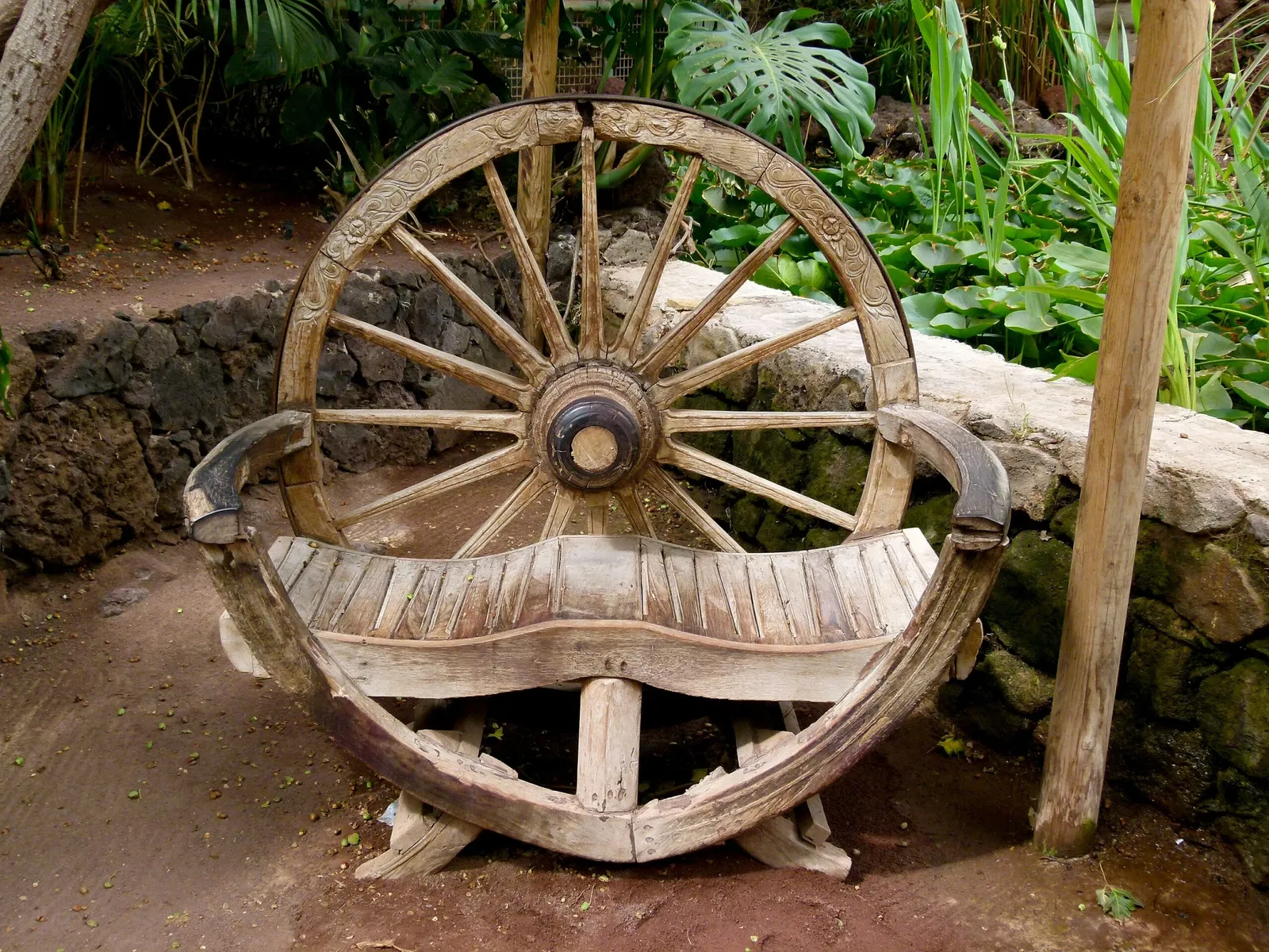 Oasis Wildlife Fuerteventura