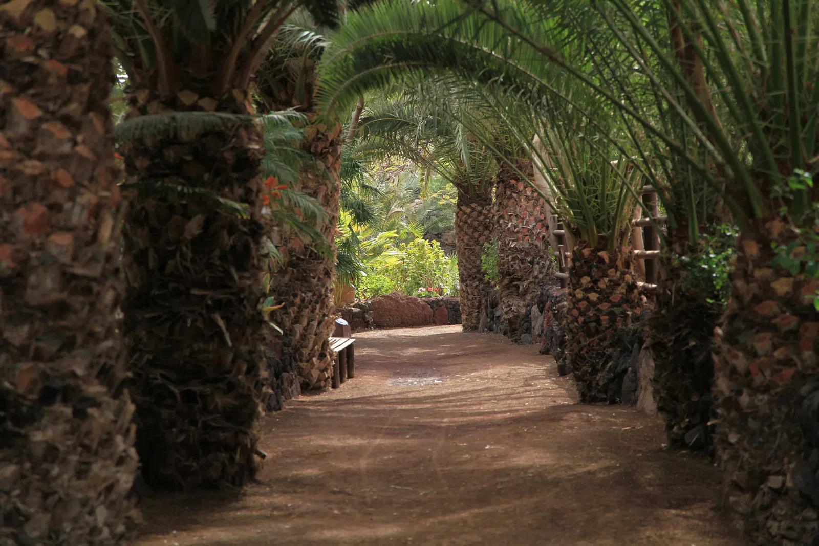 Oasis Wildlife Fuerteventura