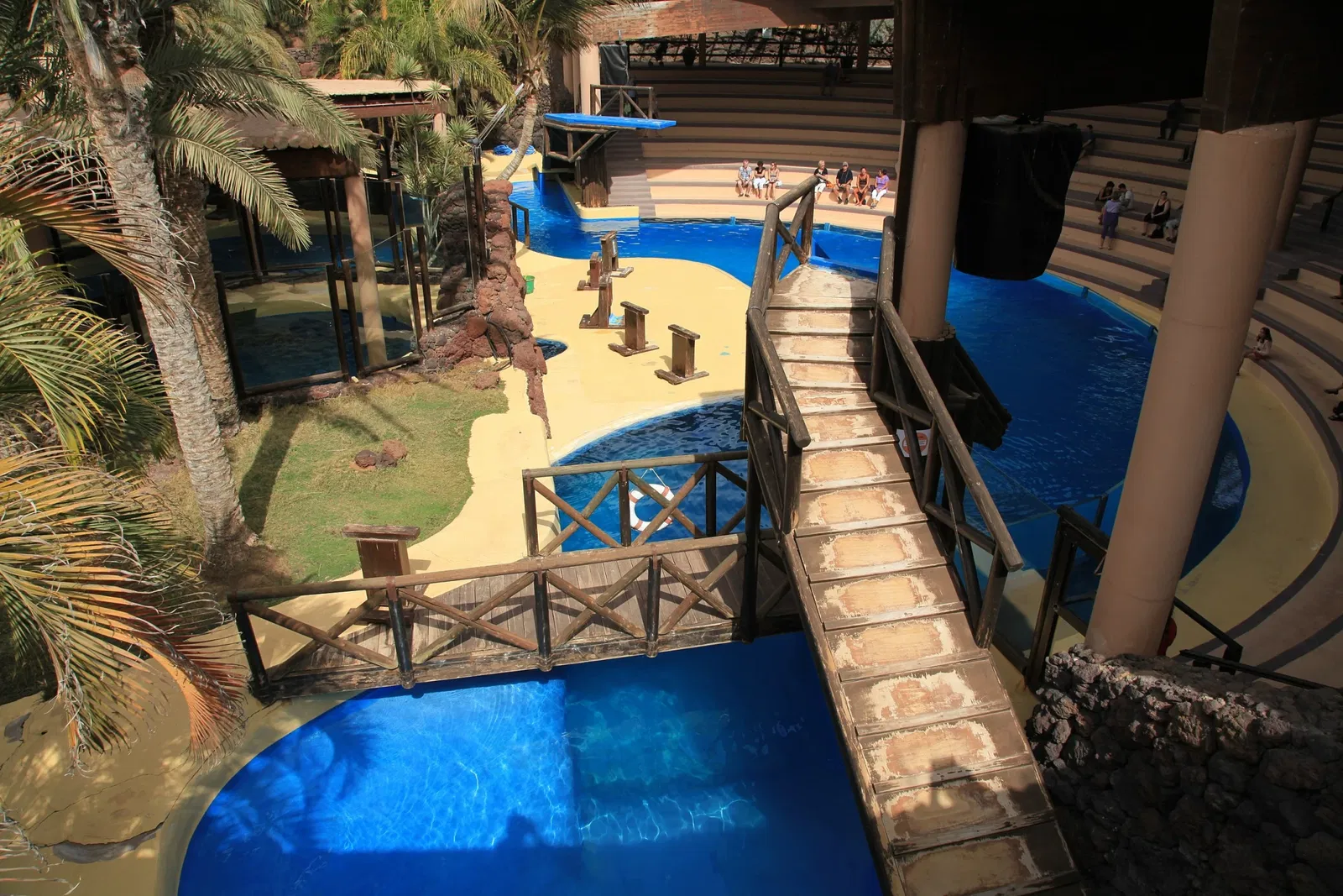 Oasis Wildlife Fuerteventura