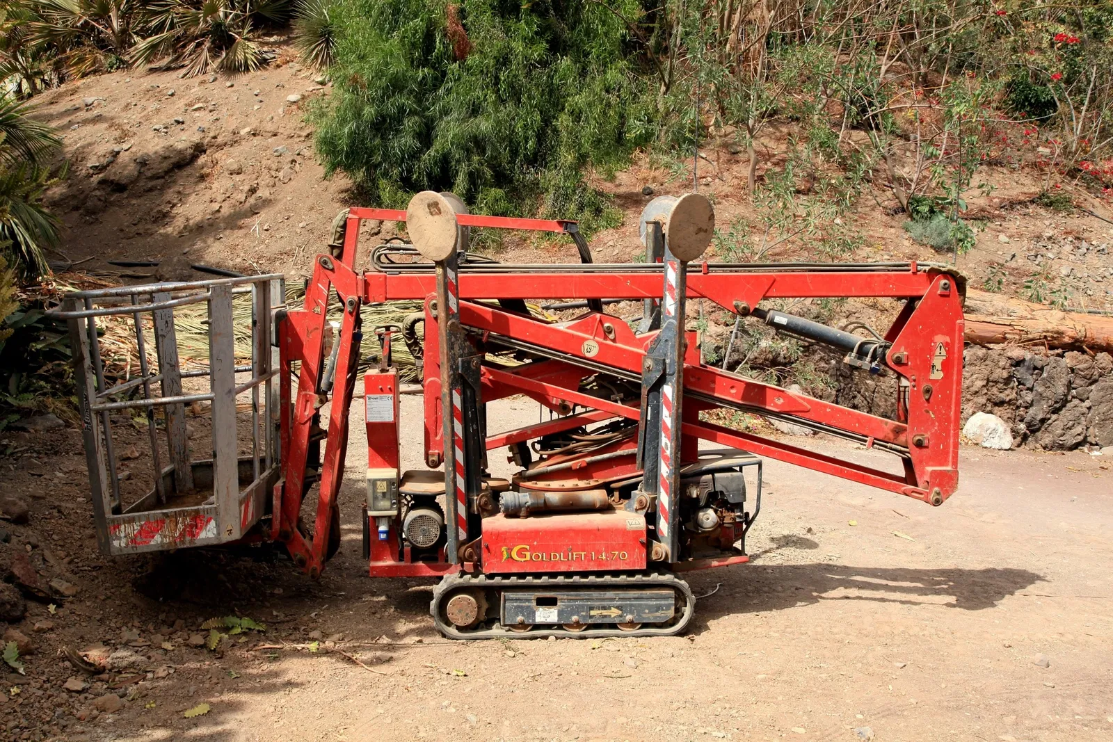 Oasis Wildlife Fuerteventura