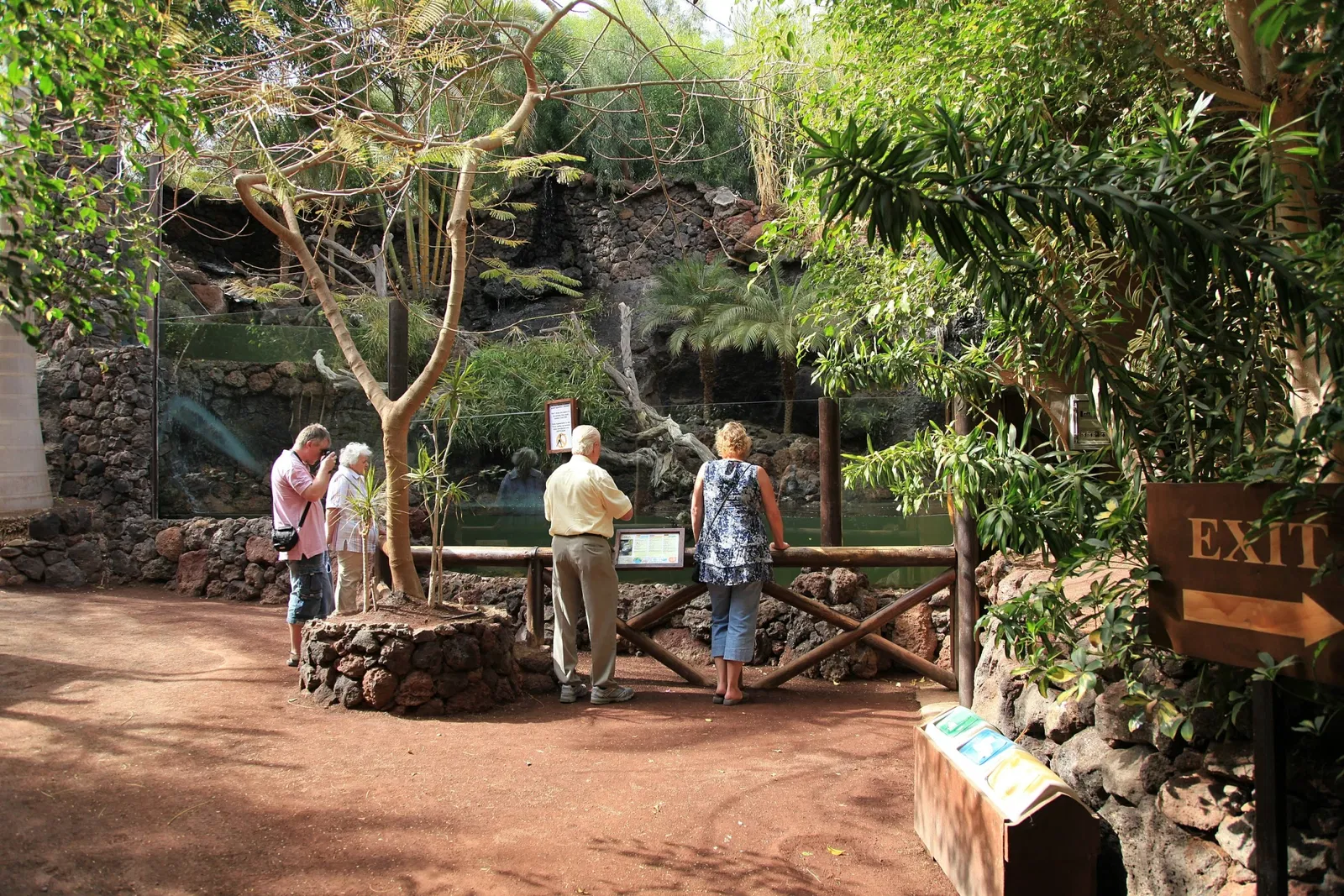 Oasis Wildlife Fuerteventura