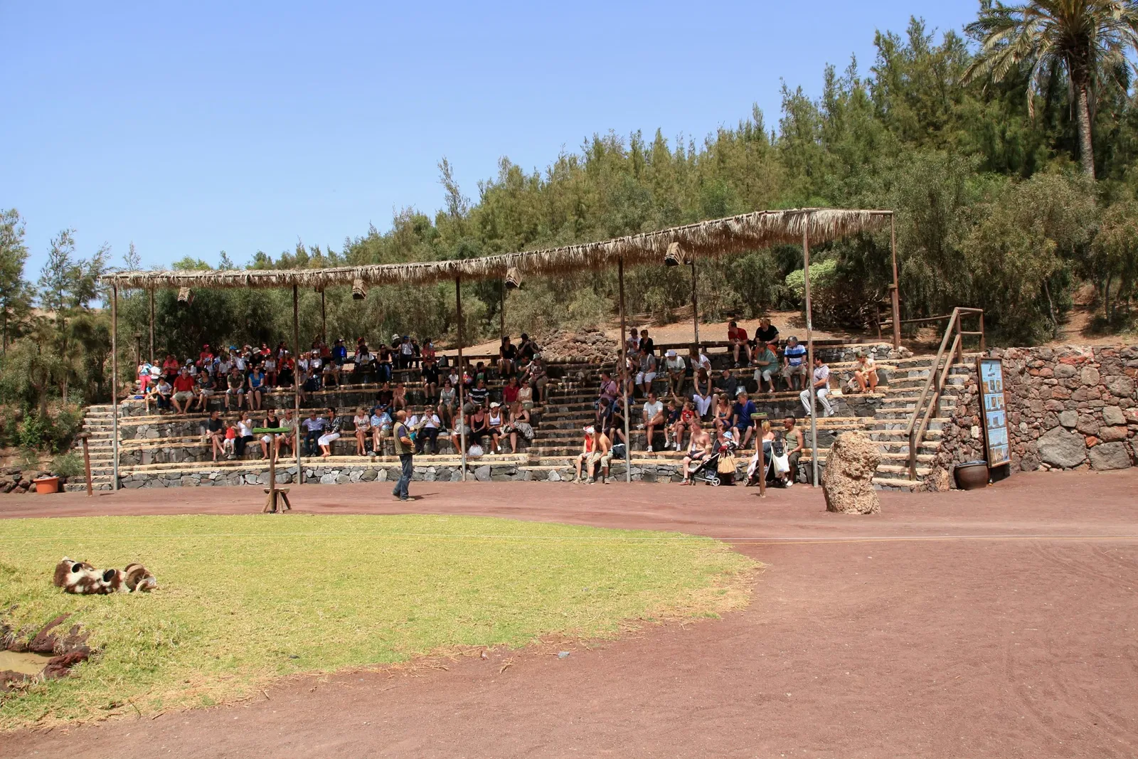 Oasis Wildlife Fuerteventura