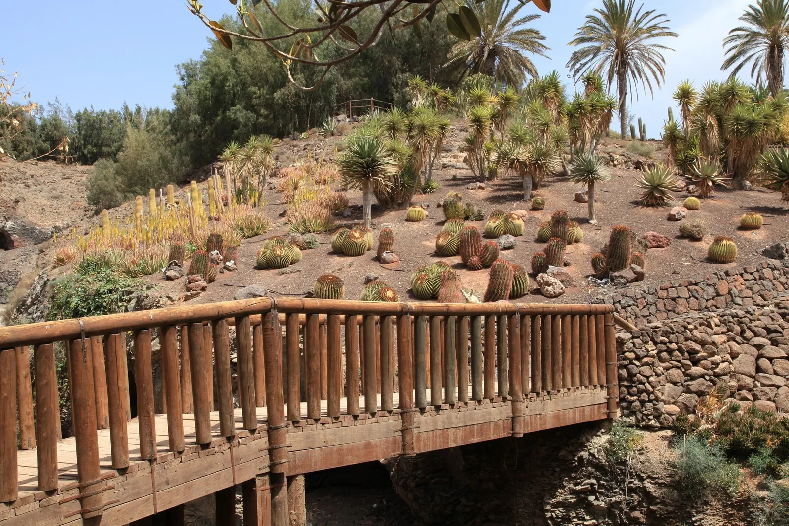 Oasis Wildlife Fuerteventura