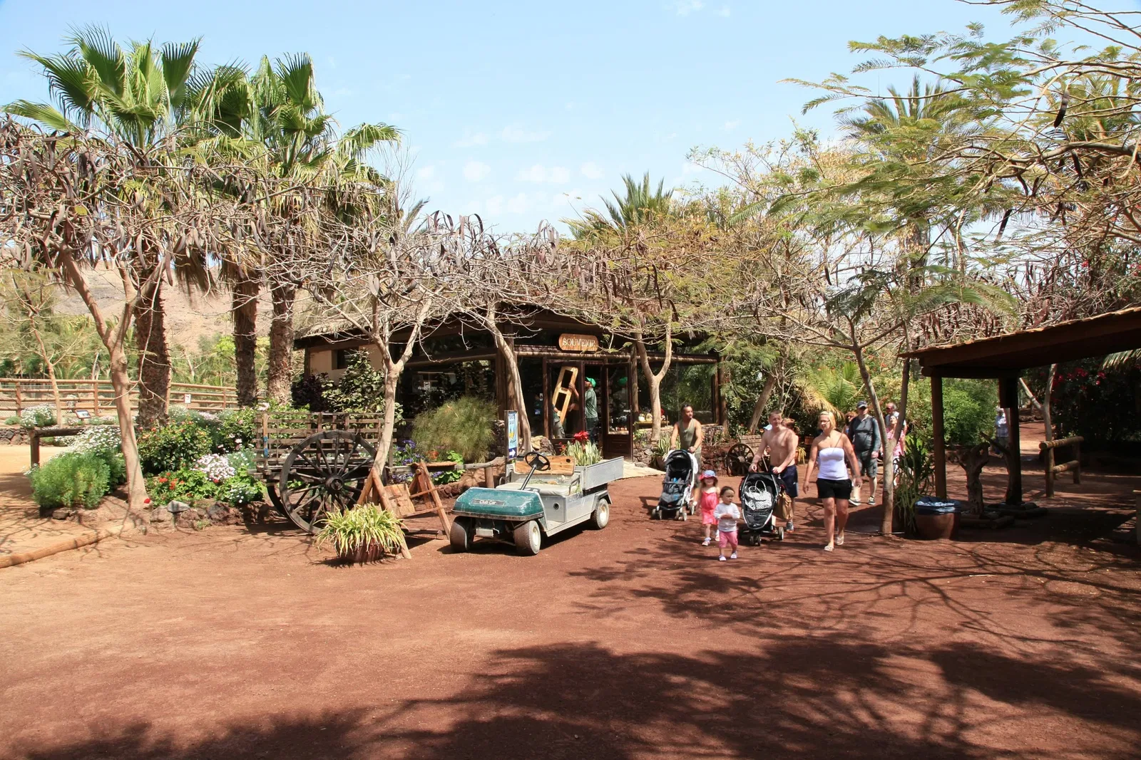 Oasis Wildlife Fuerteventura