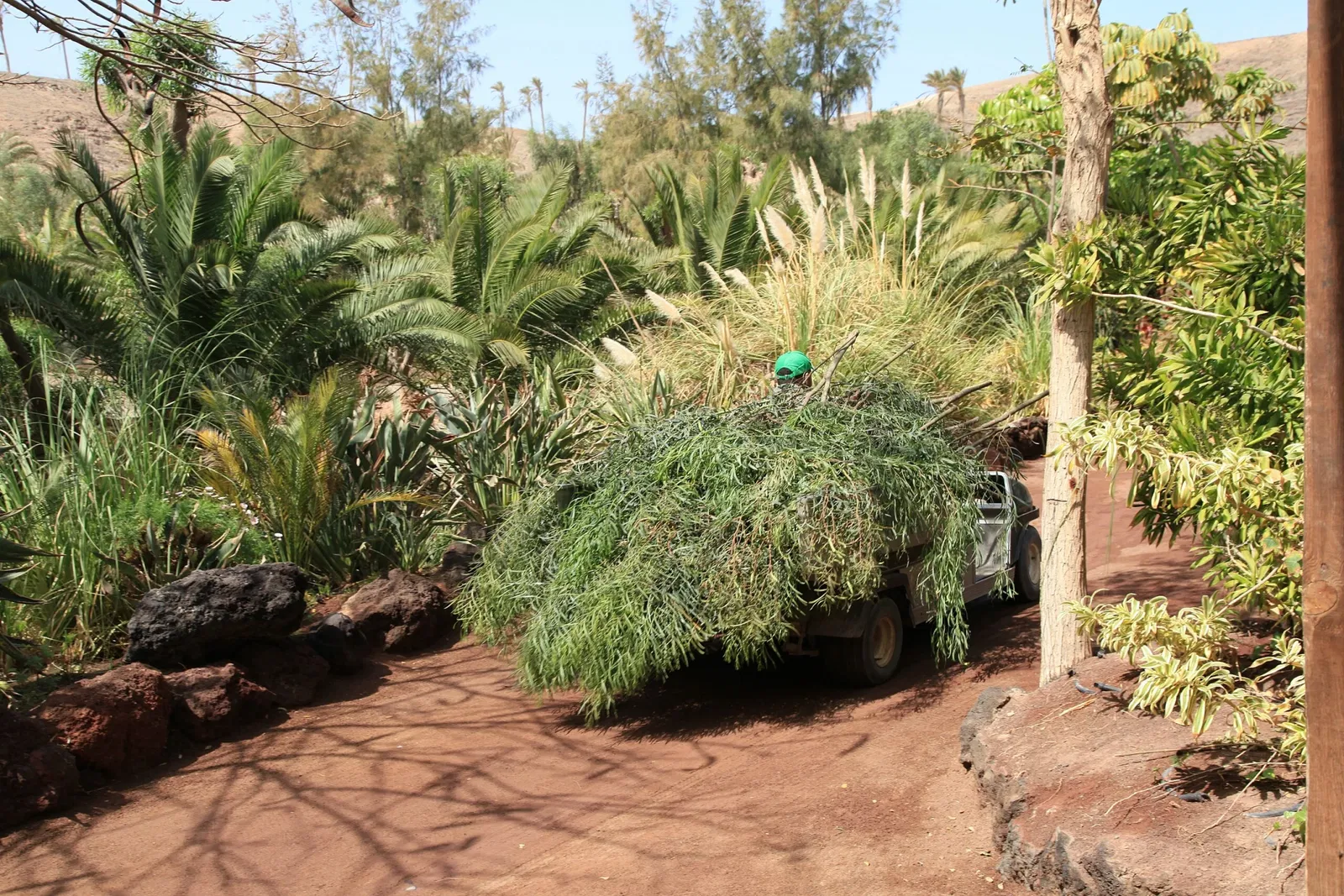 Oasis Wildlife Fuerteventura