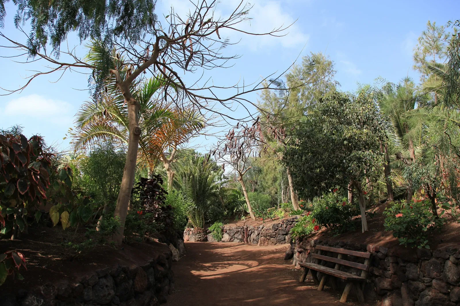 Oasis Wildlife Fuerteventura