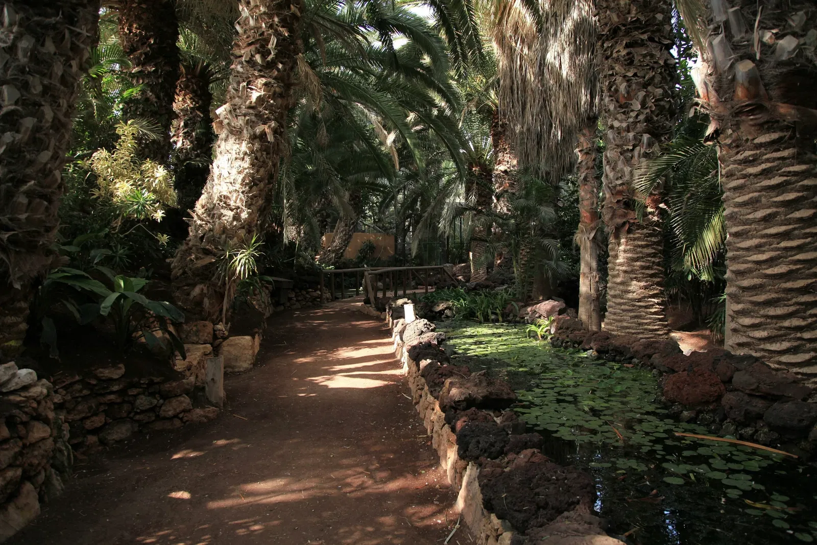 Oasis Wildlife Fuerteventura