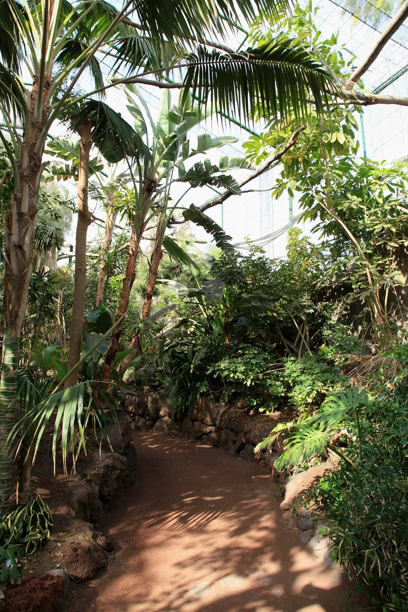 Oasis Wildlife Fuerteventura