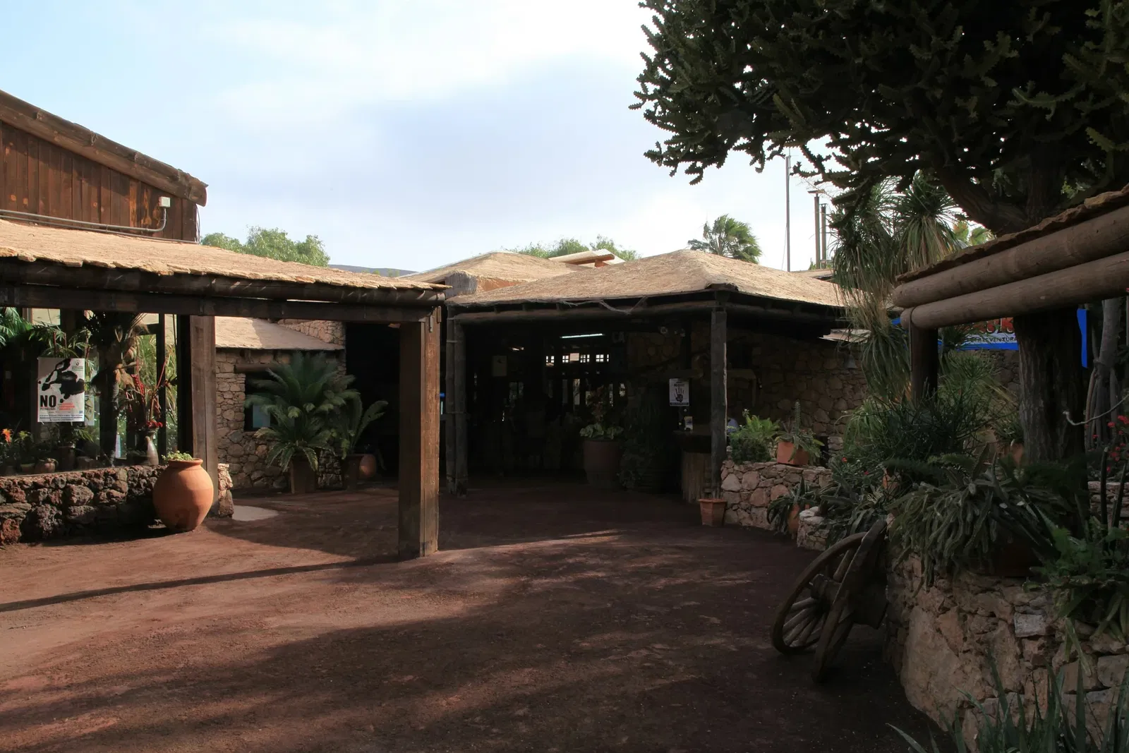 Oasis Wildlife Fuerteventura