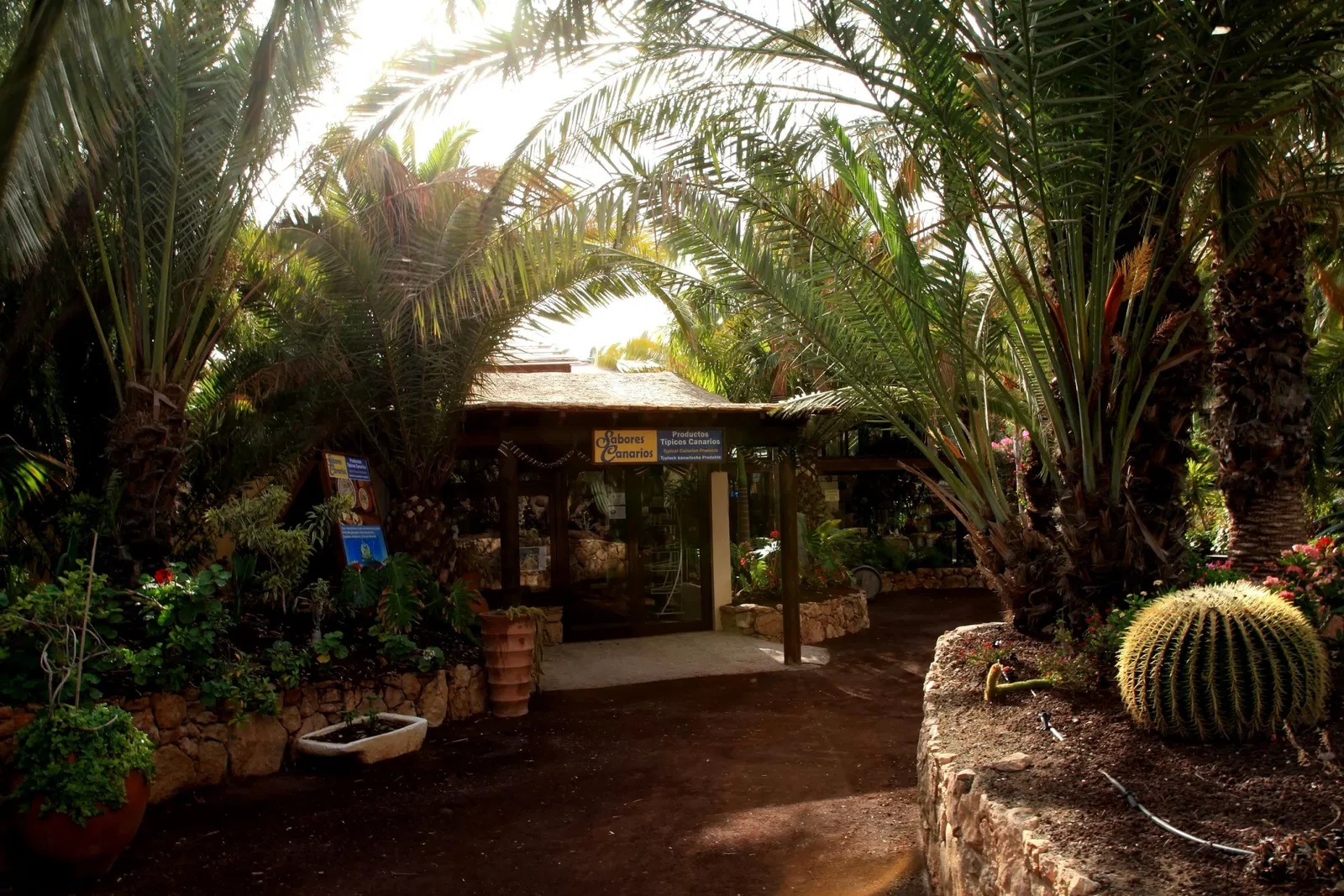 Oasis Wildlife Fuerteventura