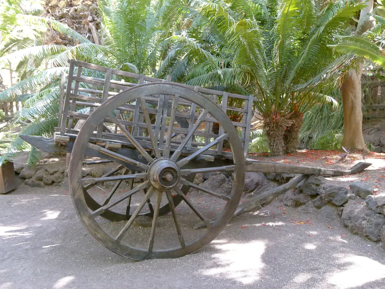 Oasis Wildlife Fuerteventura