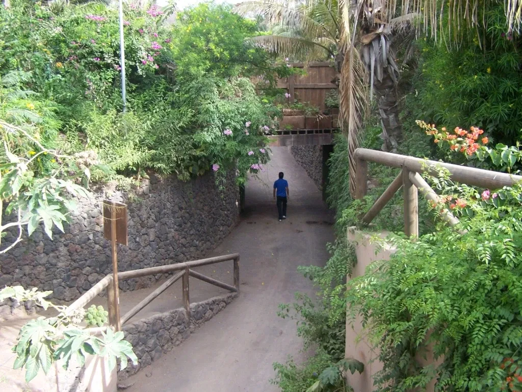 Oasis Wildlife Fuerteventura